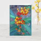 蝶の雑草 カード (黄色い花)