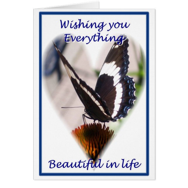 蝶の願い (正面)