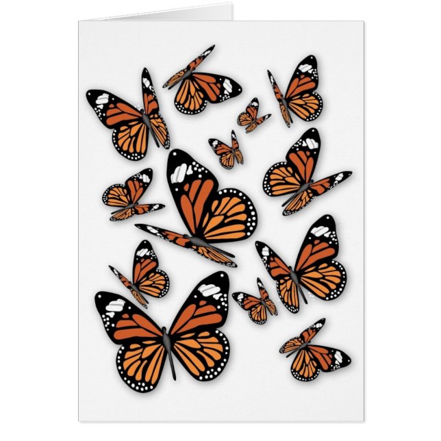 蝶の飛ぶ姿 (正面)