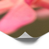 蝶の（昆虫）オオカバマダラ、モナーク ポスター (角)