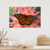 蝶の（昆虫）オオカバマダラ、モナーク ポスター (キッチン)