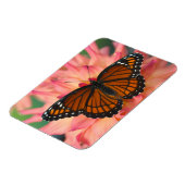 蝶の(昆虫)オオカバマダラ、モナーク マグネット (左側)