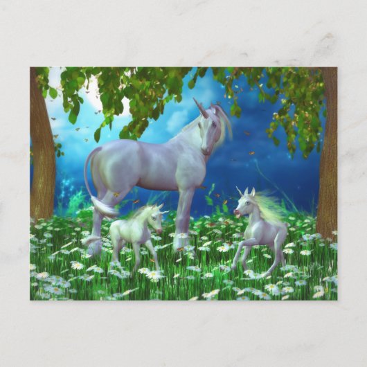 蝶はがきの追いかけ ポストカード (正面)