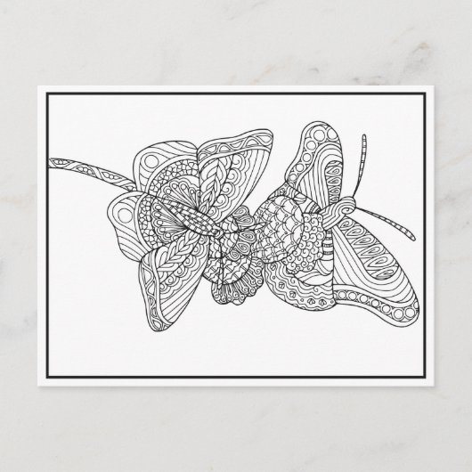 蝶はがきデザイン – 着色カード ポストカード (正面)