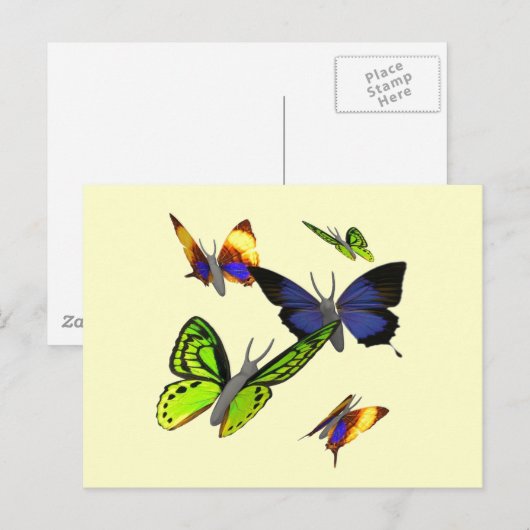 蝶はがき ポストカード (正面/裏面)