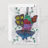 蝶はがき ポストカード (正面/裏面)