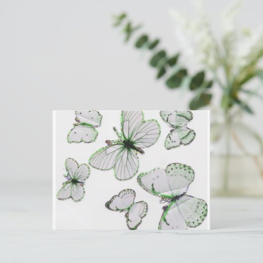 蝶はがき ポストカード (スタンド正面)