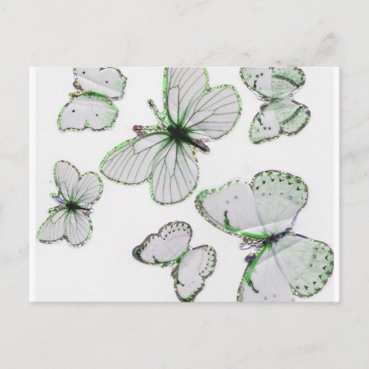 蝶はがき ポストカード (正面)