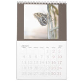 蝶はまだ無料 – 2024カレンダー カレンダー (1月 2027)