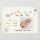 蝶は誕生の発表のアイボリーに接吻します 案内状 (正面/裏面)