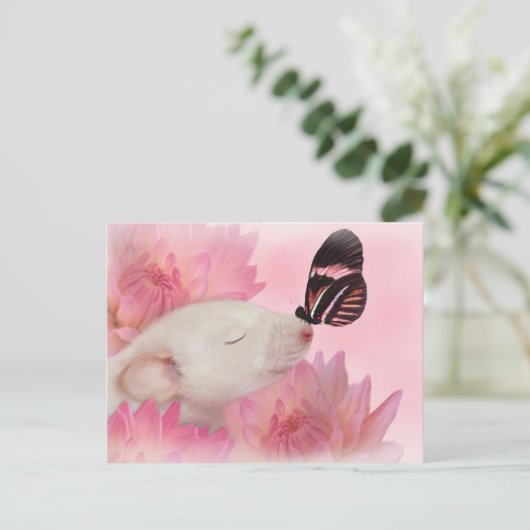 蝶は郵便はがきに接吻します ポストカード (スタンド正面)