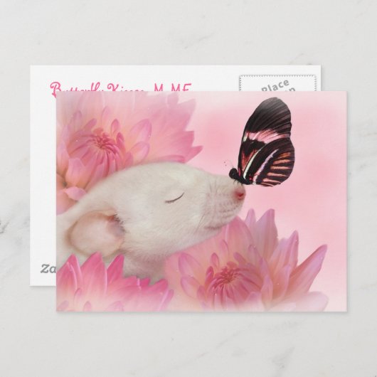蝶は郵便はがきに接吻します ポストカード (正面/裏面)