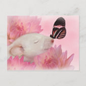 蝶は郵便はがきに接吻します ポストカード (正面)