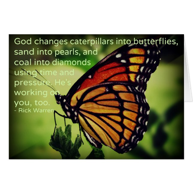 蝶への幼虫 (正面横)