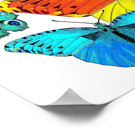 蝶よ！蝶よ！ ポスター (角)