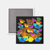 蝶よ！蝶よ！マグネット マグネット (正面/裏面)