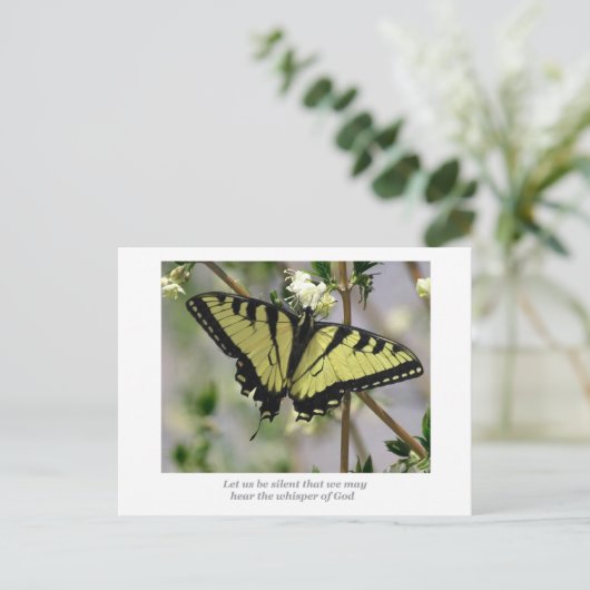 蝶を囁く ポストカード (スタンド正面)