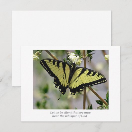 蝶を囁く ポストカード (正面/裏面)