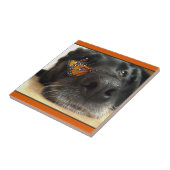 蝶を持つ黒い実験室犬 タイル (側面)