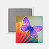 蝶アート磁石 マグネット (正面/裏面)