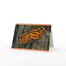 蝶インスピレーション