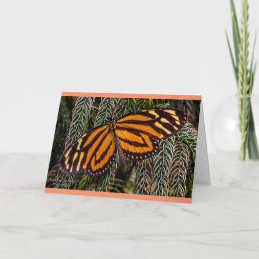 蝶インスピレーション カード (正面)