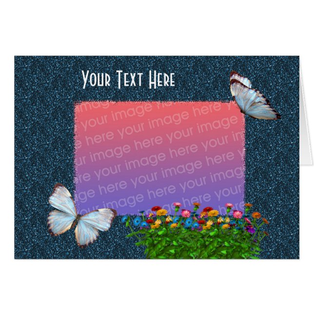 蝶エレガントと《植物》百日草花写真 (正面横)