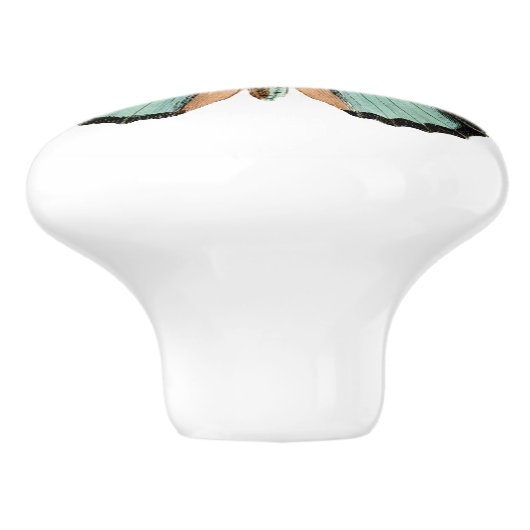 蝶エレガントティール(緑がかった色)ホワイトセラミックノブ セラミックノブ (側面)