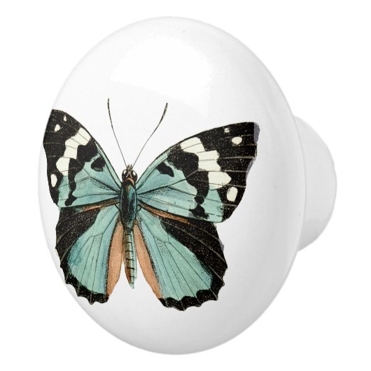 蝶エレガントティール(緑がかった色)ホワイトセラミックノブ セラミックノブ (右)