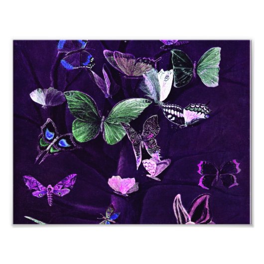 蝶オンパープル フォトプリント            (正面)