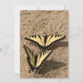 蝶オンビーチフラットホリデーカード シーズンカード (正面)