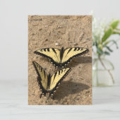 蝶オンビーチフラットホリデーカード シーズンカード (スタンド正面)