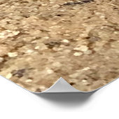 蝶オンビーチ ポスター (角)