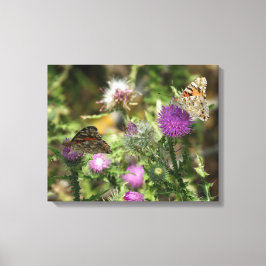 蝶オンフラワーフォト独身のプリント キャンバスプリント
