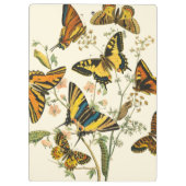 蝶カラフルと毛虫の集まり クリップボード (裏面)