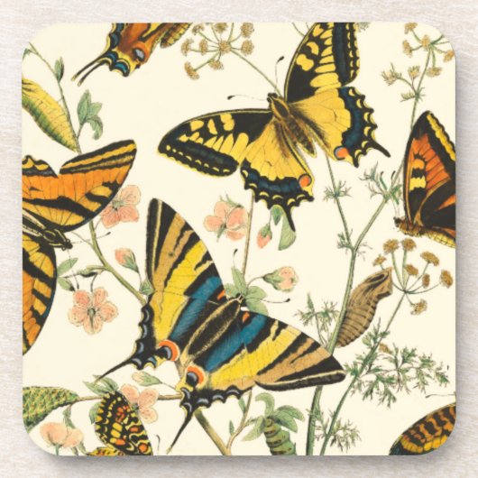 蝶カラフルと毛虫の集まり コースター (正面)