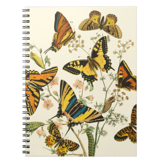 蝶カラフルと毛虫の集まり ノートブック (正面)