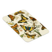 蝶カラフルと毛虫の集まり マグネット (右側)