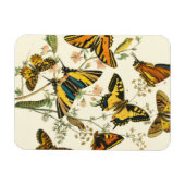 蝶カラフルと毛虫の集まり マグネット (横)