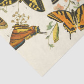 蝶カラフルと毛虫の集まり 薄葉紙 (詳細)