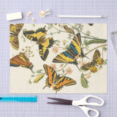 蝶カラフルと毛虫の集まり 薄葉紙 (クラフト)