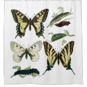 蝶カラフルと毛虫 シャワーカーテン (正面)