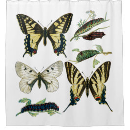 蝶カラフルと毛虫 シャワーカーテン