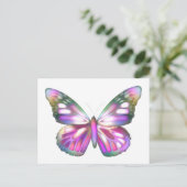 蝶カラフル類 ポストカード (スタンド正面)