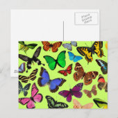 蝶カラフル類 ポストカード (正面/裏面)