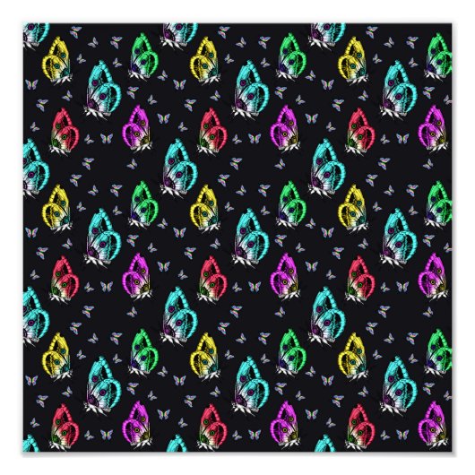 蝶カラフル フォトプリント            (正面)