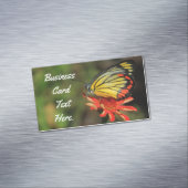 蝶カラフル マグネット名刺 (インサイチュ)