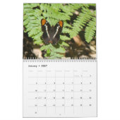 蝶カレンダー カレンダー (1月 2027)