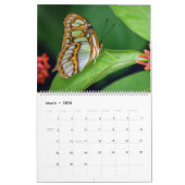 蝶カレンファンシーダー カレンダー (3月 2026)