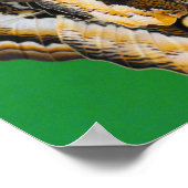 蝶キス ポスター (角)